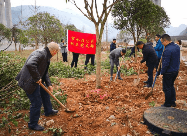 市水投公司機(jī)關(guān)支部開展植樹活動(dòng)