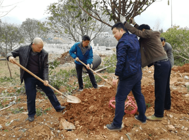 市水投公司機(jī)關(guān)支部開展植樹活動(dòng)