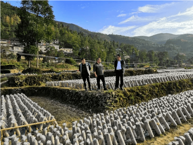 銅仁城投集團黨委副書記、總經(jīng)理何向東一行到沿河縣泉壩鎮(zhèn)水田村開展脫貧攻堅工作