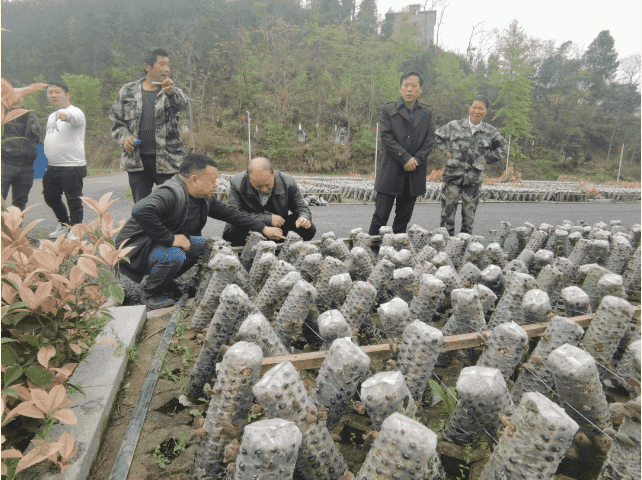 銅仁城投集團赴沿河縣淇灘鎮(zhèn)皂渡村開展調研宣講