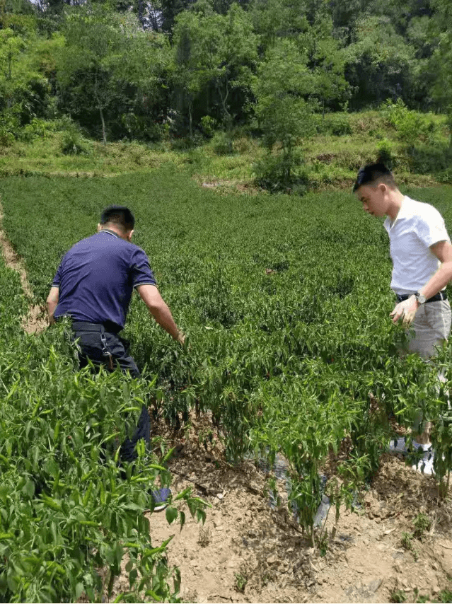 銅仁城投集團(tuán)領(lǐng)導(dǎo)到沿河縣淇灘鎮(zhèn)竹園村開展宣講工作